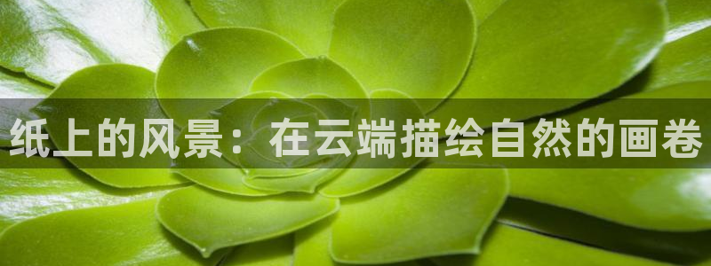 新宝 gg 登录注册