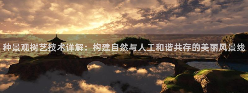 新宝gg手机注册官网