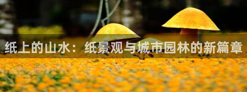 新宝gg登录宝