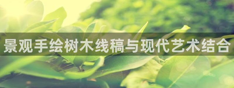 新宝gg登录网址