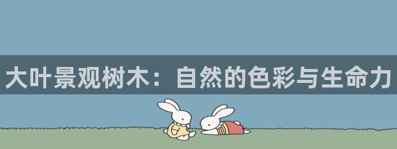 下载新宝gg