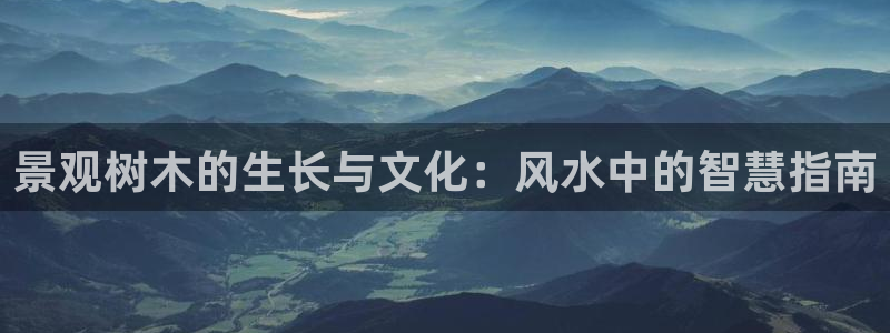 新宝gg 金苹果