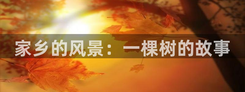 新宝gg佣金