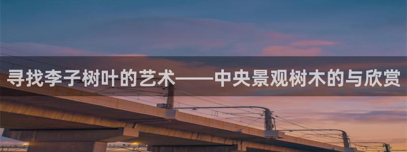 新宝gg招商42873