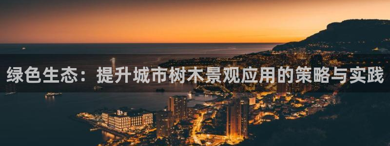新宝gg登录注册