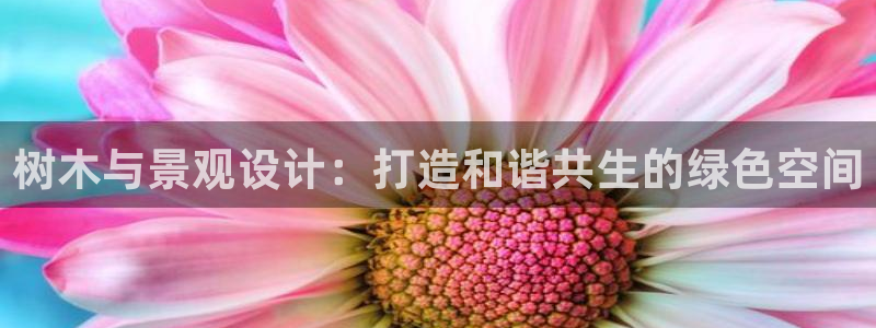 新宝gg主管开
