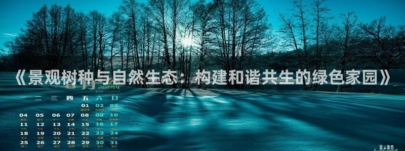 新宝gg怎样代理