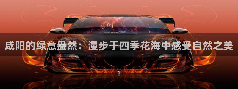 www.新宝gg