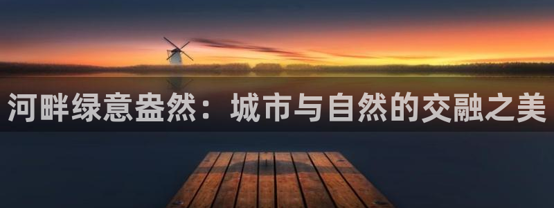 太阳gg和新宝gg