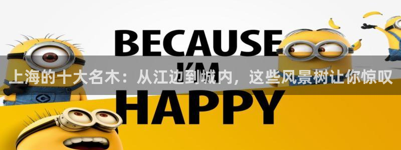 新宝GG苹果版
