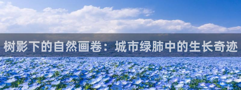 新宝gg开好
