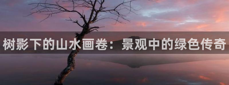 新宝gg创造奇迹下载
