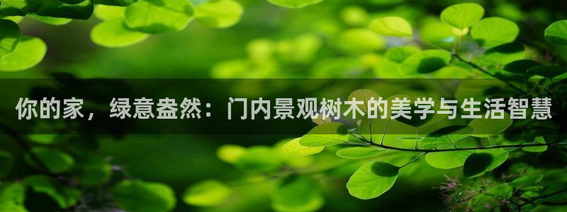 新宝GG最高返点多少