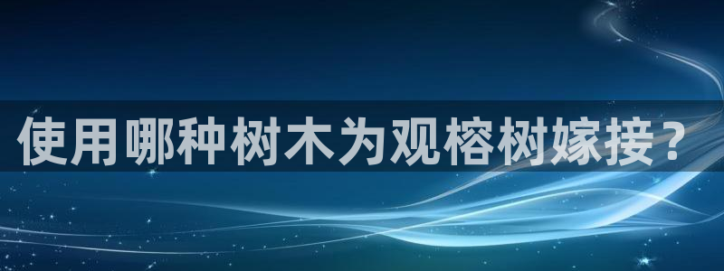 分分新宝gg