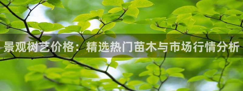 新宝gg开户