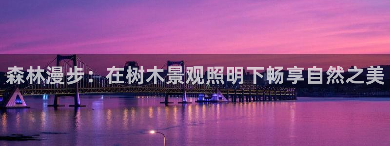 新宝gg 039：森林漫步：在树木景观照明下畅享自然之美