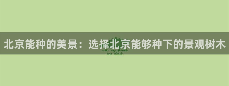 新浪新闻新宝gg