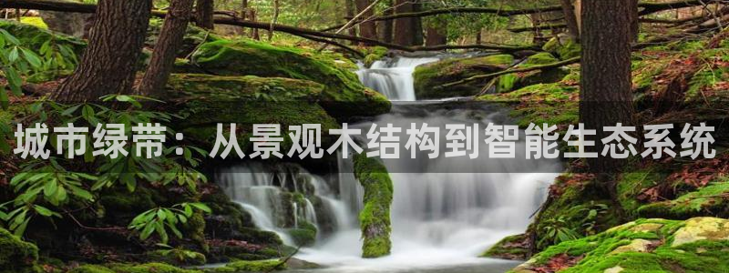 新宝gg公司