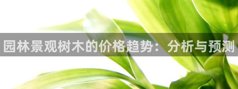新宝GG专业团队