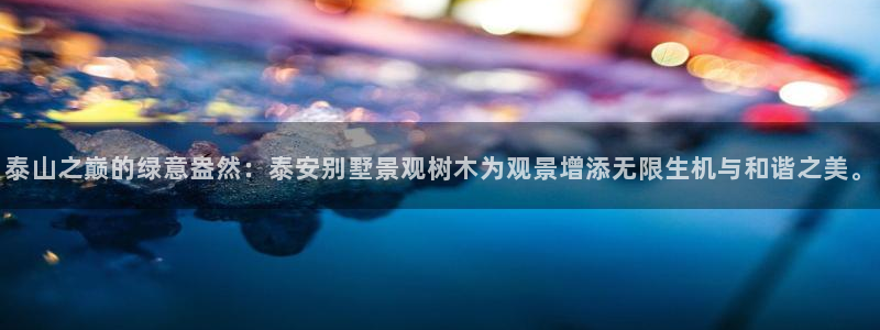 新宝gg 奇迹