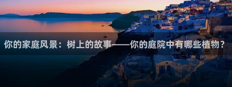新宝gg是在境外吗