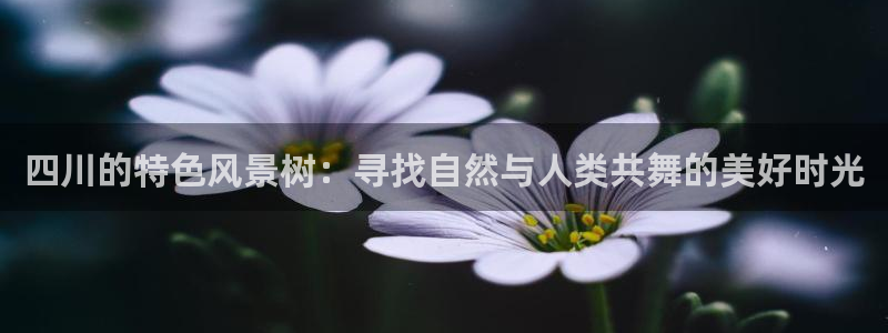 新宝gg登陆平台