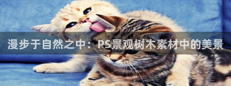 新宝gg系列：漫步于自然之中：PS景观树木素材中的美景