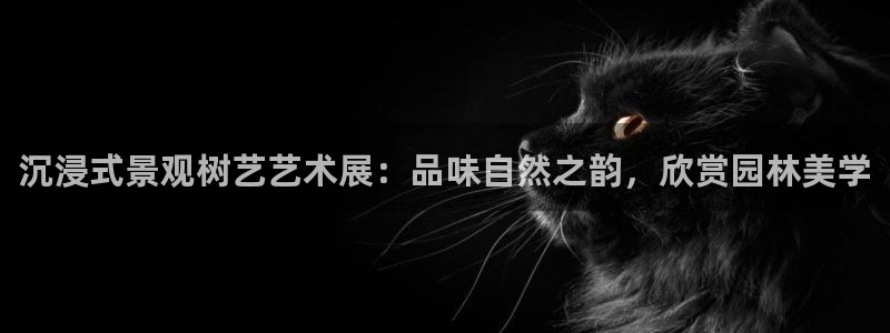 新宝gg开户