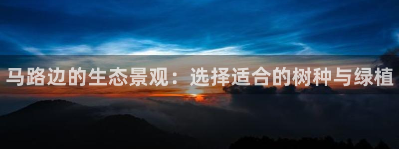 新宝gg测速登录：马路边的生态景观：选择适合的树种与绿植