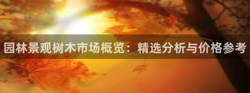 旧版新宝GG
