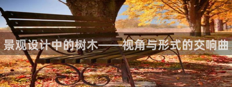 新宝gg主管48527：景观设计中的树木——视角与形式的交响曲