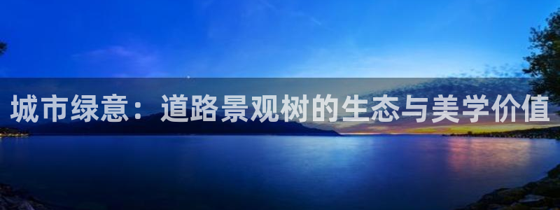 新宝gg创造奇迹登陆：城市绿意：道路景观树的生态与美学价值