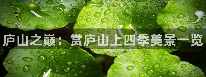 新宝六与新宝gg：庐山之巅：赏庐山上四季美景一览