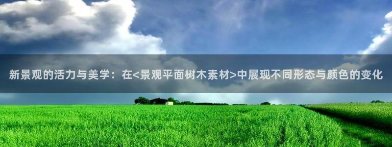 新宝gg挣钱