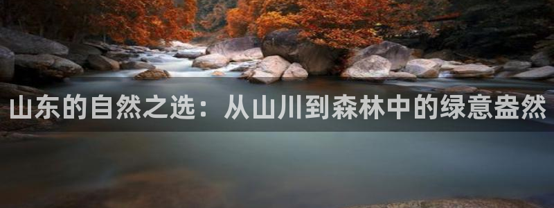 新宝gg欢迎