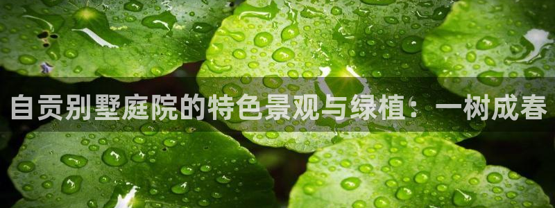 新宝gg申请账号：自贡别墅庭院的特色景观与绿植：一树成春