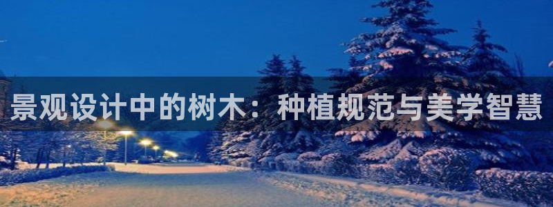 11新宝gg