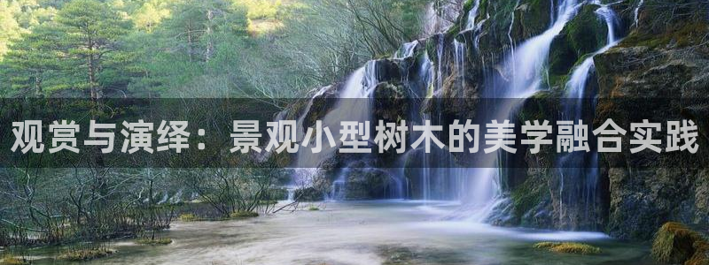 新宝gg 首页：观赏与演绎：景观小型树木的美学融合实践