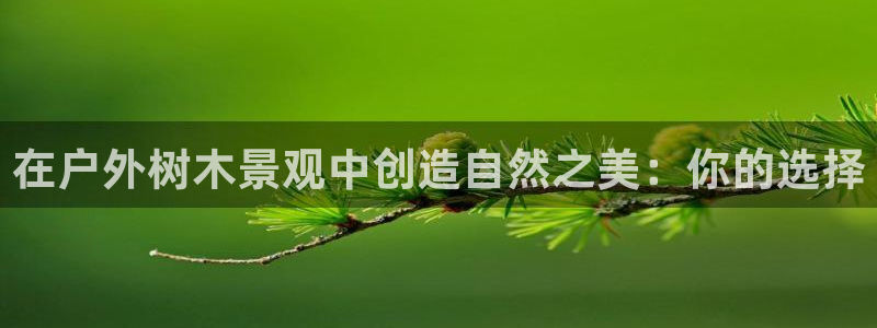 新宝gg主管111