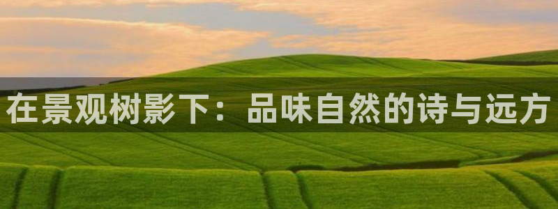 新宝gg创：在景观树影下：品味自然的诗与远方