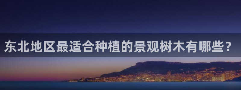 新宝新宝gg开户流程