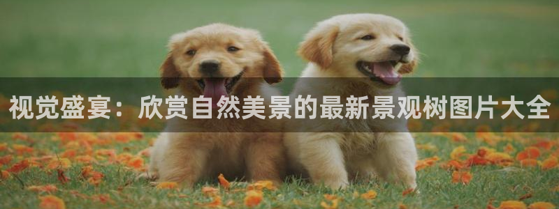 新宝gg平台反水：视觉盛宴：欣赏自然美景的最新景观树图片大全