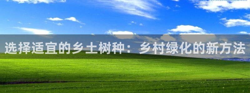 新宝gg打发
