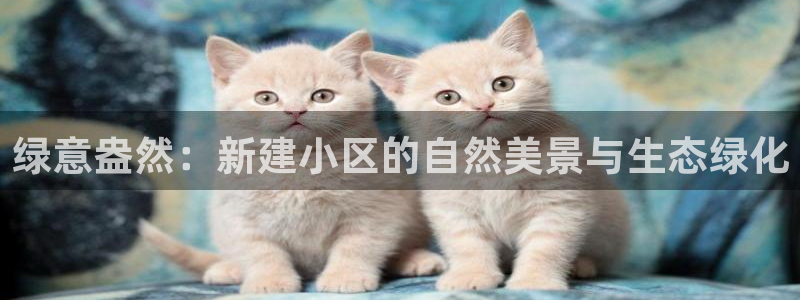 新宝gg龙虎规则