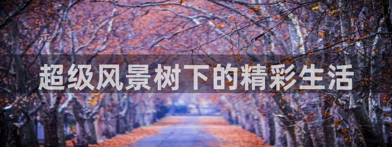 新宝GG—创造奇迹