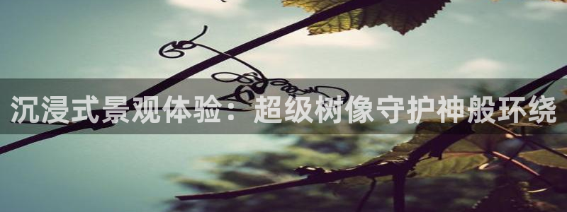 百度新宝gg