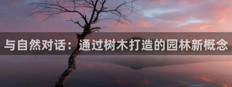 新宝gg招商致胜团队