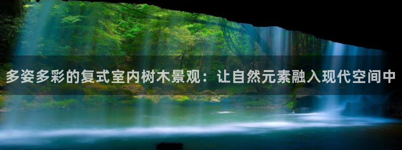 新宝GG 黑钱