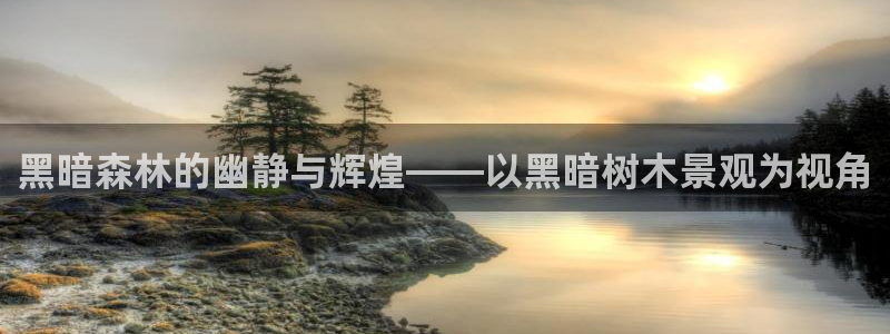 新宝gg返点1956是多少