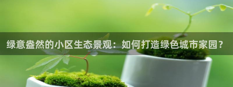 新宝gg 金苹果